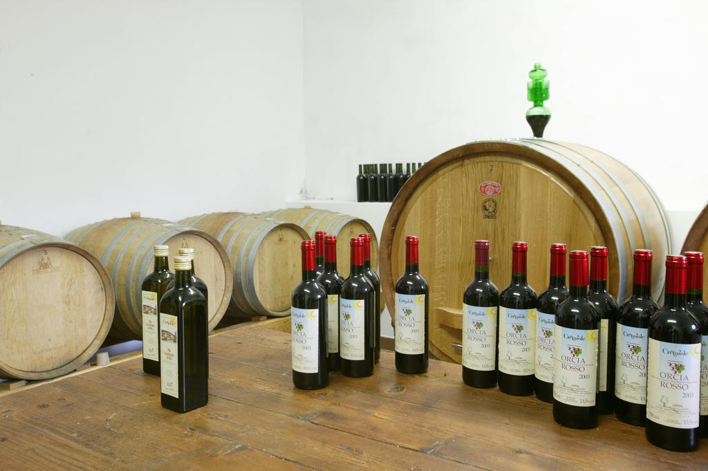 圣格雷戈里奥波德雷农庄酒店 皮恩扎 外观 照片