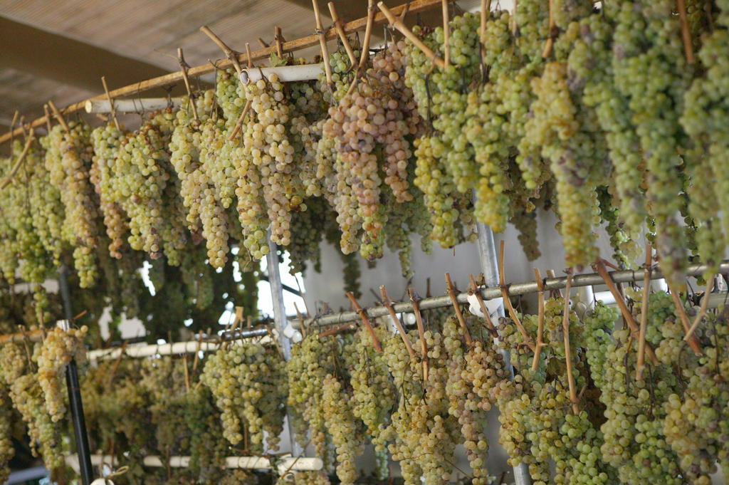 圣格雷戈里奥波德雷农庄酒店 皮恩扎 外观 照片